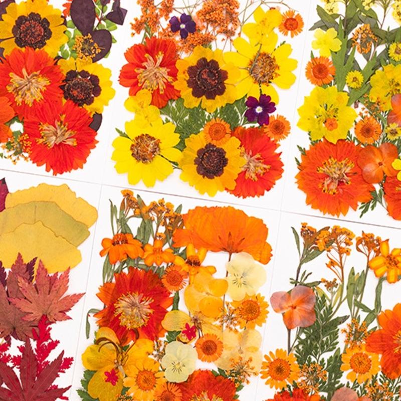 Art And Craft Nature - Hoa ép khô làm khuôn nhựa