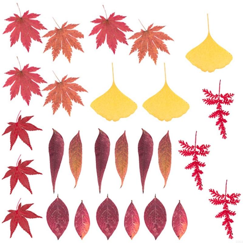 Hoa ép khô làm khuôn nhựa dùng - đánh giá và giá Art And Craft Nature
