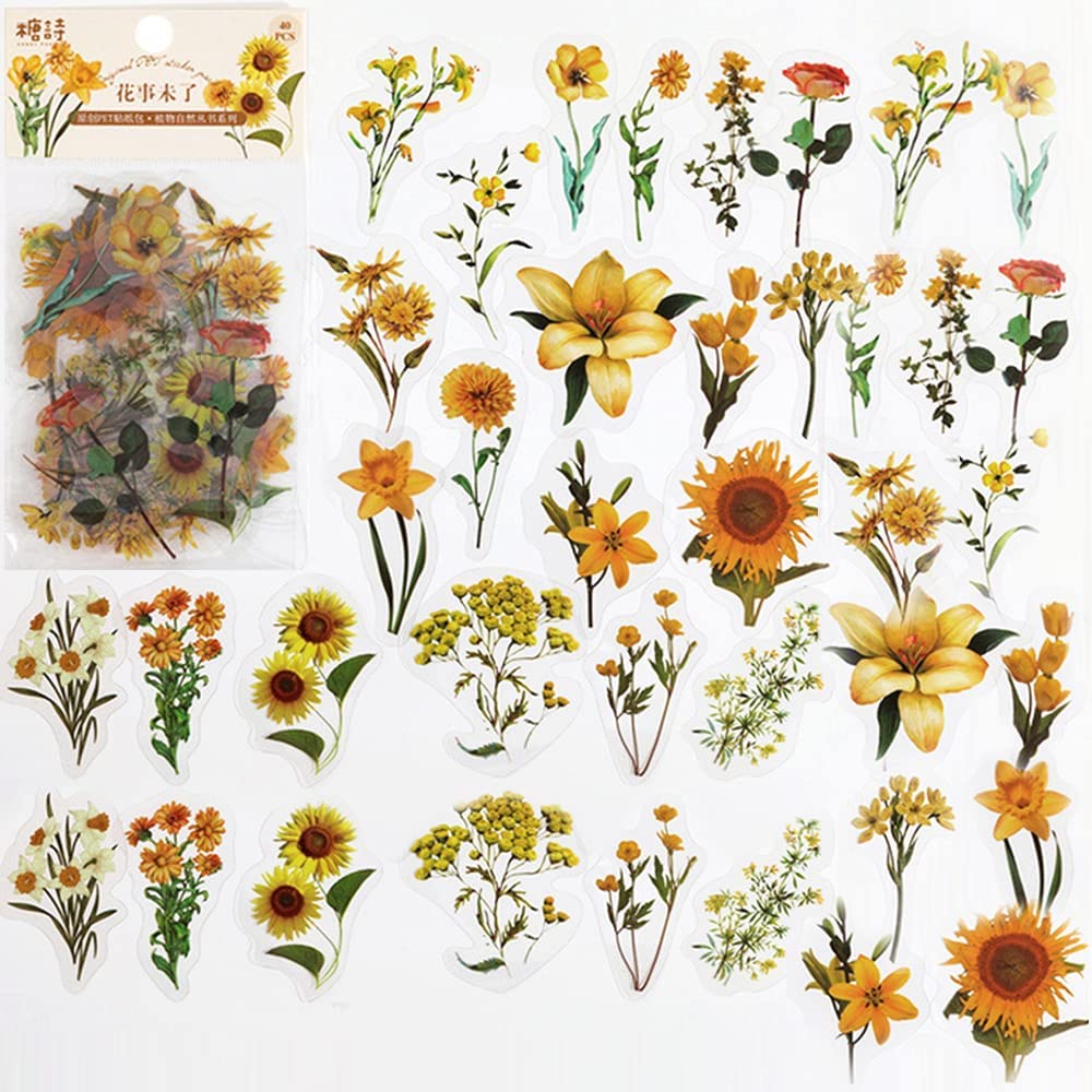 40 Pcs Scrapbook Stickers PET  - đánh giá và giá Art Craft Journals