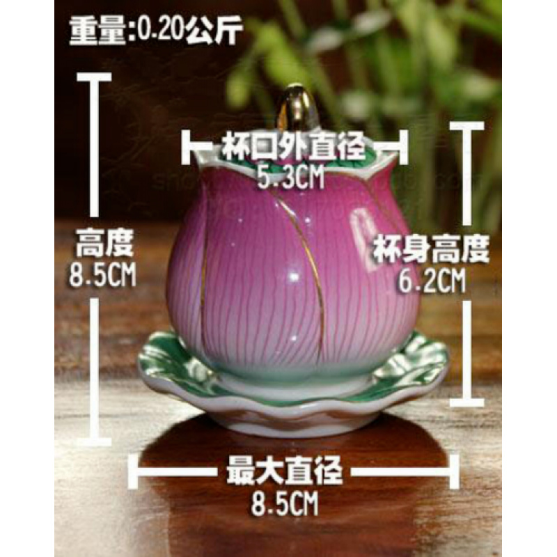 Creative Crafts Lotus Holy Wat - đánh giá và giá Art Craft Cup